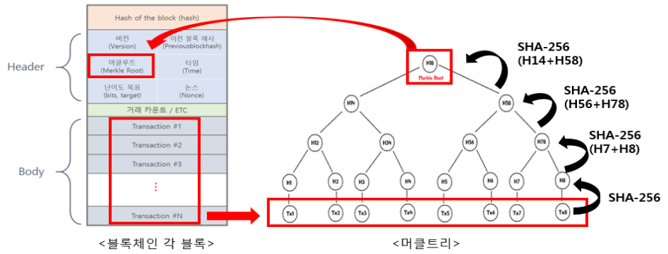 머클트리와 머클루트.png