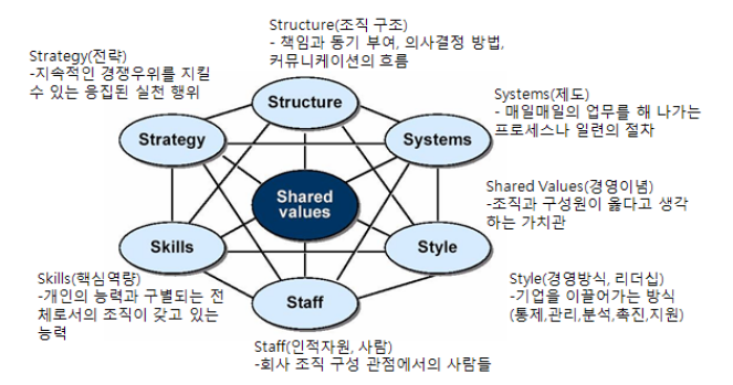 7S 개념도.png