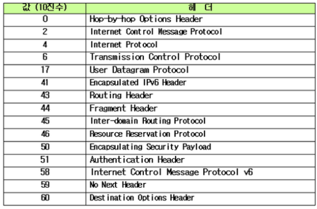 IPv6 확장 헤더 값.png