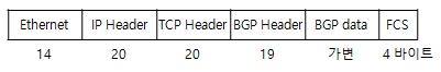 BGP 메시지 포맷.jpg