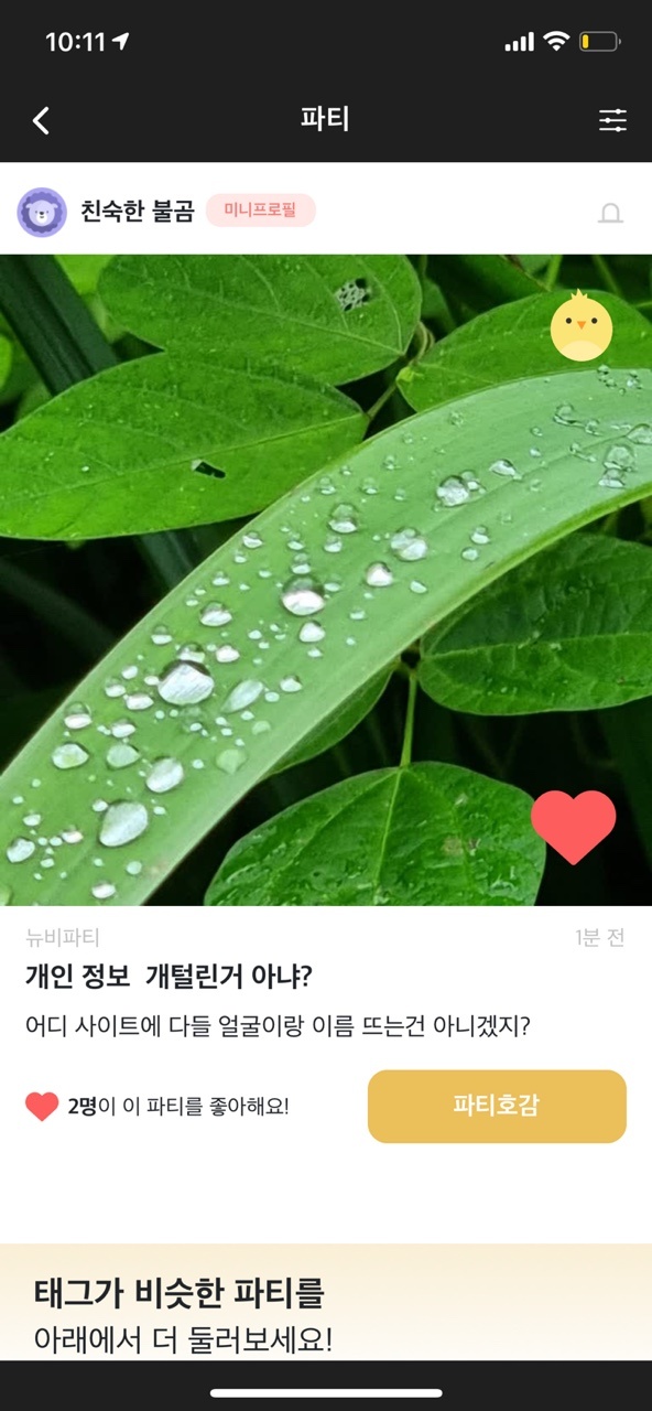 10초만에 지워지는 파티글1.jpg